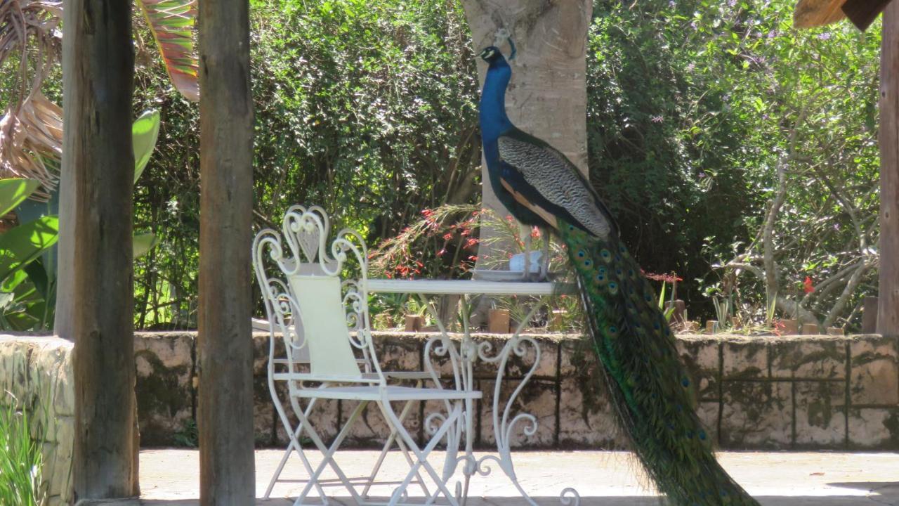 Dwaleni Farm Lodge Matsapha Buitenkant foto